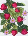 3.161The Strawberry Bush by Collection D'Art - 3161
