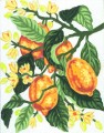 3.162 A Blossoming Lemon Tree Branch by Collection D'Art - 3162