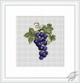 Grapes by Luca-S - B029