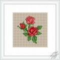 Roses by Luca-S - B033