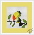 Green Parrot by Luca-S - B084