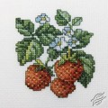 Wild Strawberries by RTO - H251