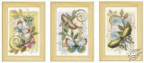 Deco Butterflies by Vervaco - PN-0155948