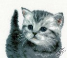 Grey Tiger Kitten by Vervaco - PN-0153747